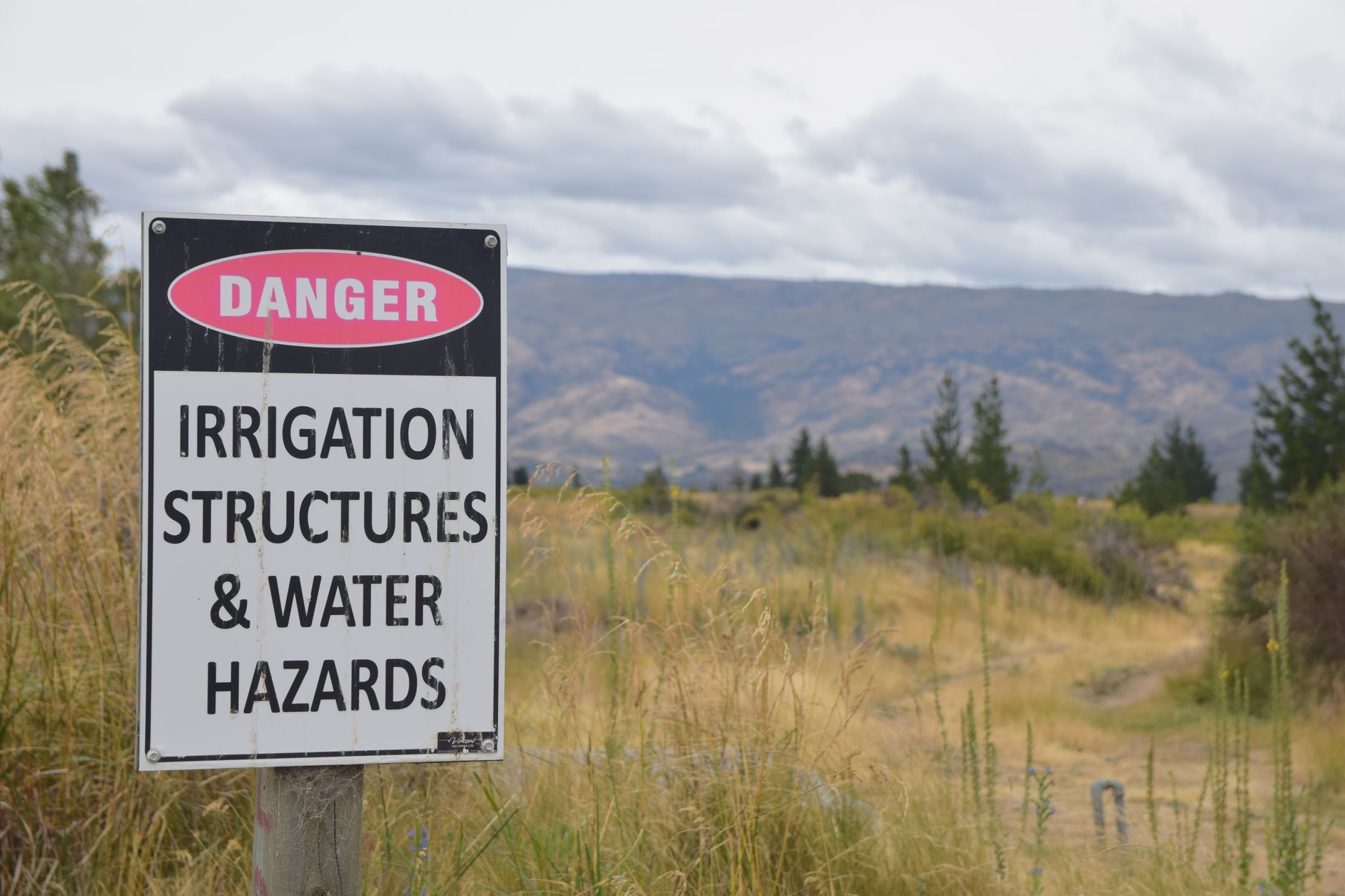 Vineyards in Marlborough Central Otago with mountain backdrop
