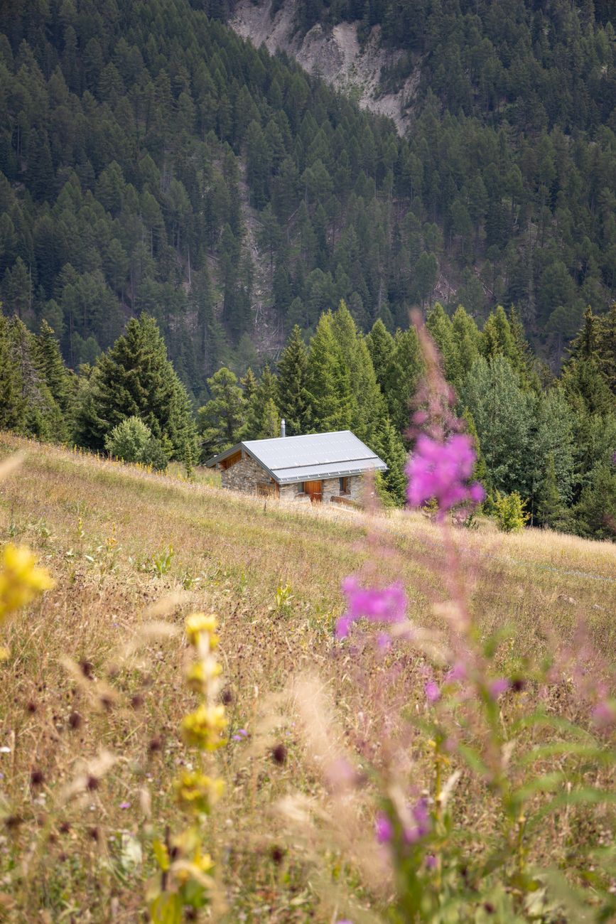 Luxury secluded alpine retreat eco cabin with panoramic views